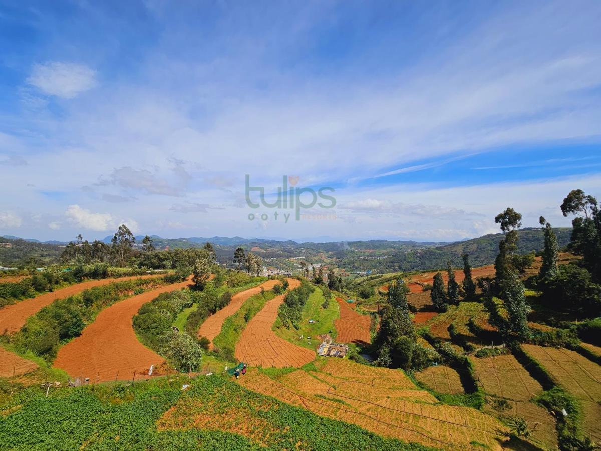 Tulips Village Resorts Ooty Luaran gambar