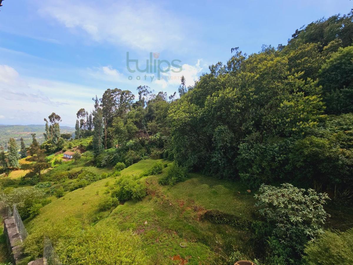 Tulips Village Resorts Ooty Luaran gambar