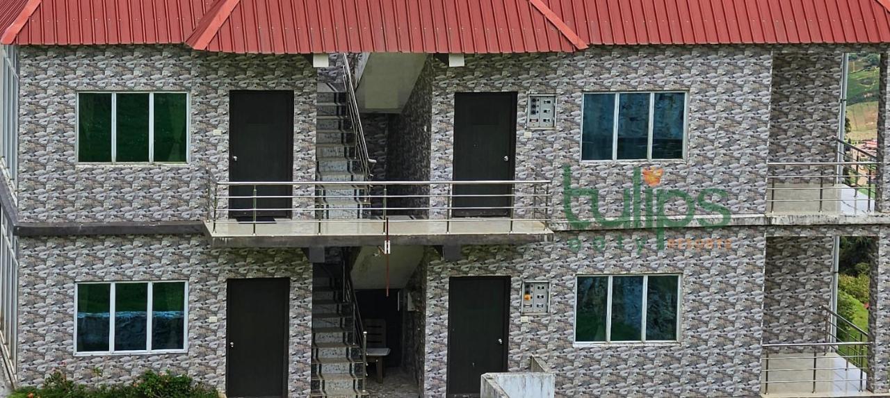 Tulips Village Resorts Ooty Luaran gambar